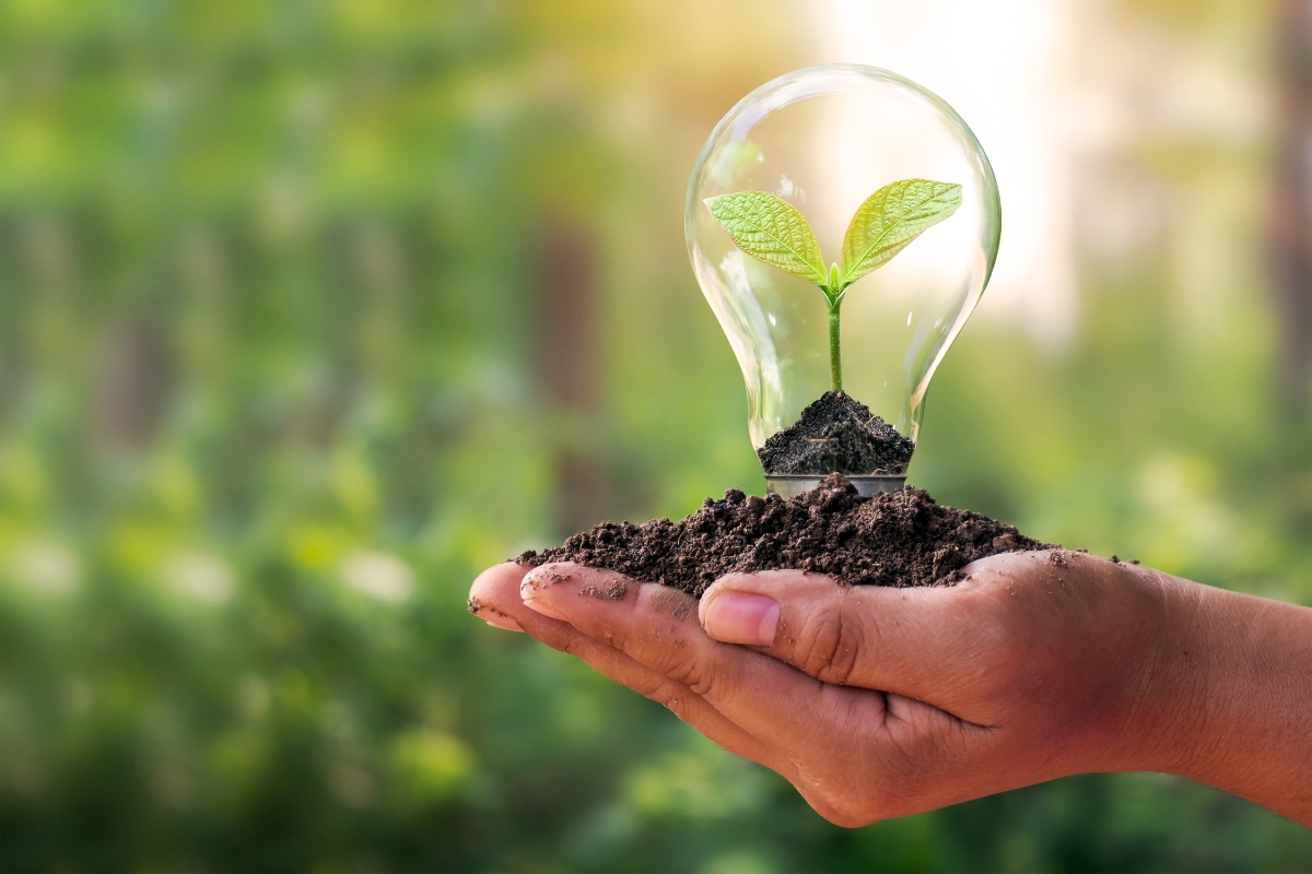 Vinyl Vs Laminate Flooring: Which Is Best For Your Georgia Home? 12 A hand cradles soil with a small plant growing inside a light bulb, symbolizing sustainability and green energy. Set against a blurred green backdrop, it's a vision that would enhance any Georgia home's commitment to nature, much like choosing eco-friendly flooring options.