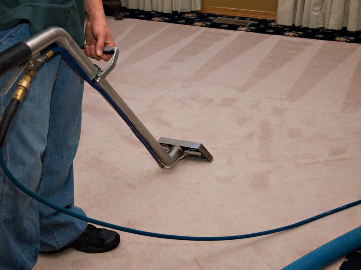 Person steam cleaning a beige carpet with a professional carpet cleaning machine; visible clean and unclean areas—perfect time to consider Professional Carpet Stretching for complete carpet care.