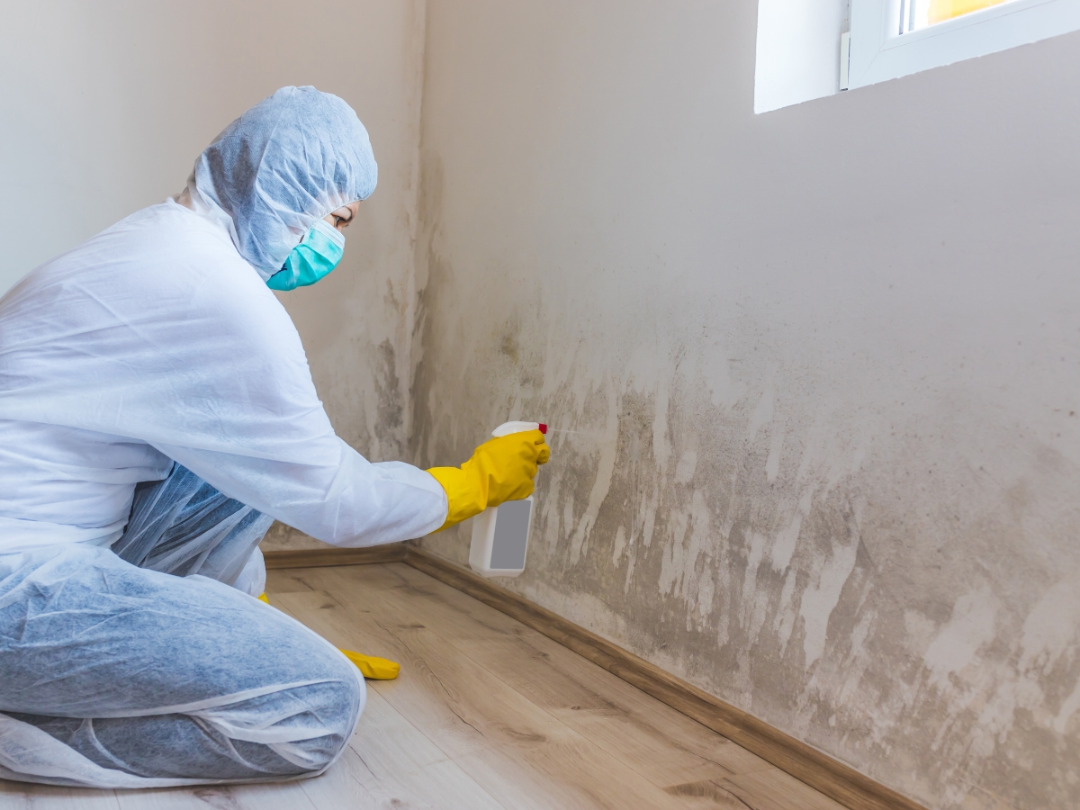 Person in protective suit, gloves, and mask sprays cleaner onto a wall covered with black mold in a room with wooden flooring and a window—Mold Remediation Explained through careful cleaning and safety measures.