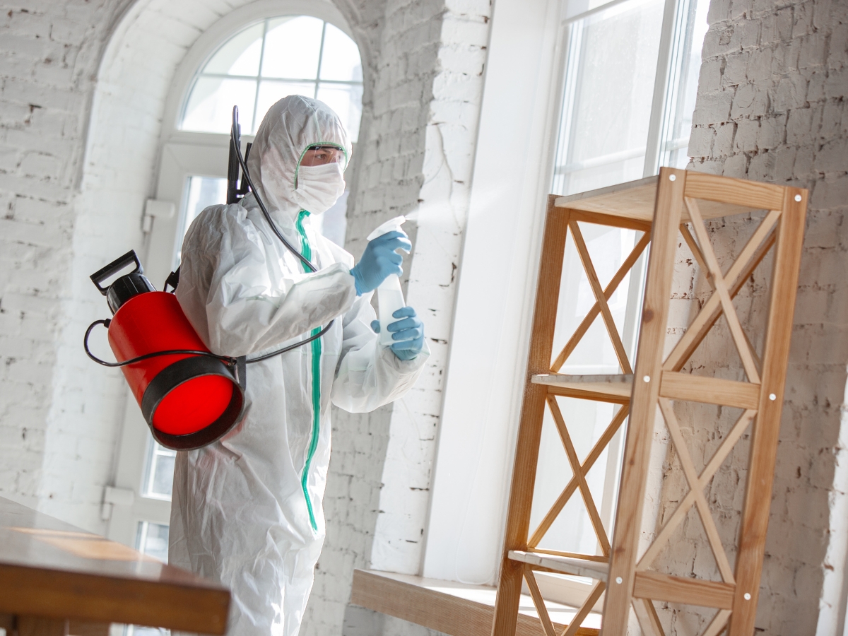 Person in protective suit and mask spraying disinfectant in a bright room with white brick walls and wooden shelves, ensuring thorough fire damage recovery.
